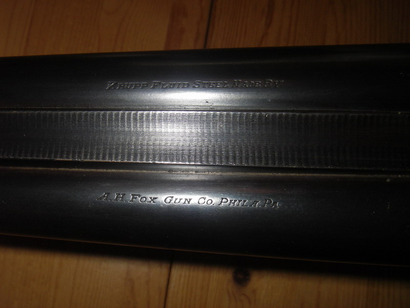 IMGP2110_resize.JPG