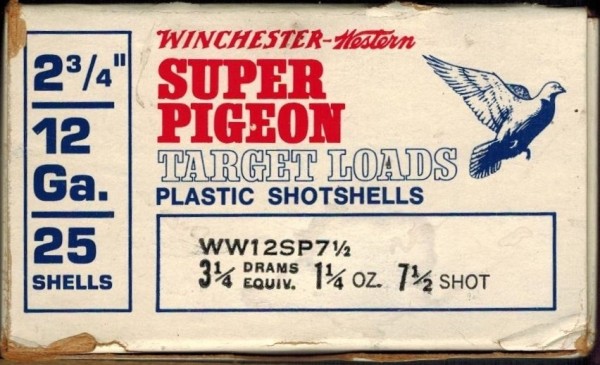 SUPER PIGEON 04.jpeg