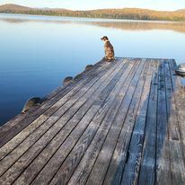 sitting on dock.jpg