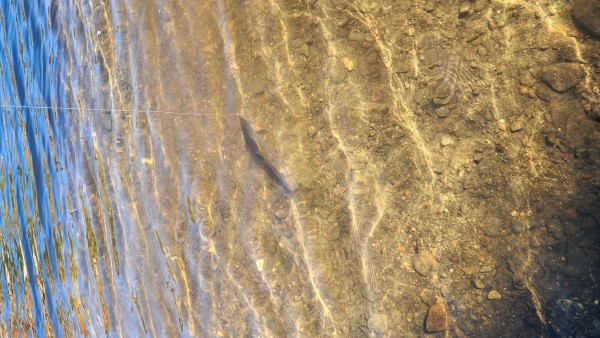 20250930_101954.jpg