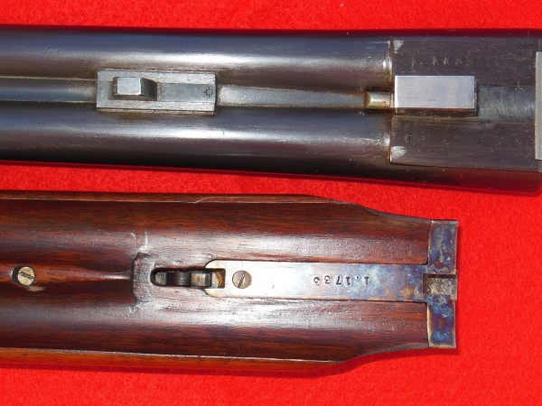 1733 24.JPG
