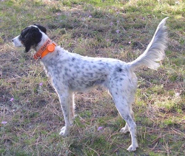 2007
