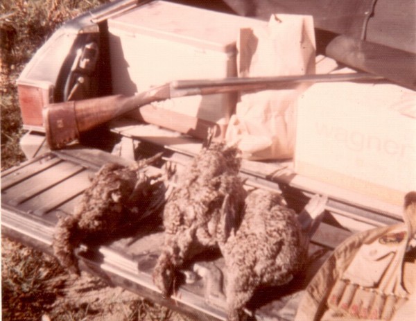 Sep 1970 Sage Grouse near Craig, Colorado.jpg