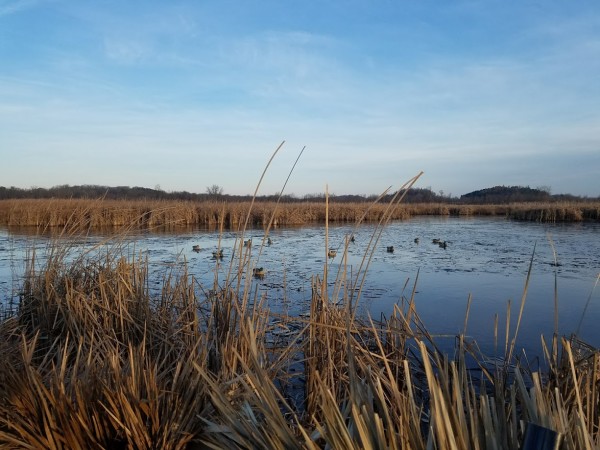 20171128_081259.jpg