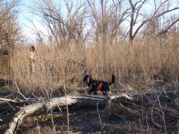 In the field...Ruby and Steve