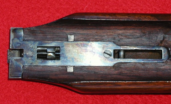 372747 Beavertail inside