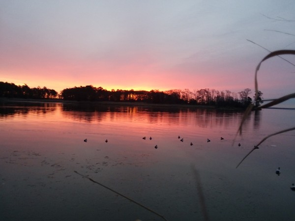 ChurchCreekSunriseJan19.jpg
