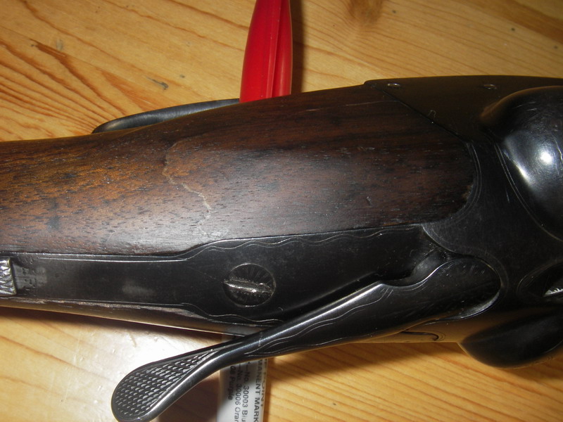 IMGP2130_resize.JPG