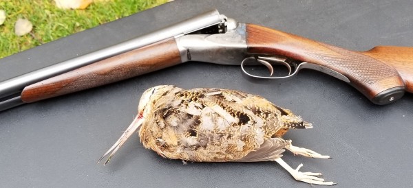 1st woodcock with fox.jpg
