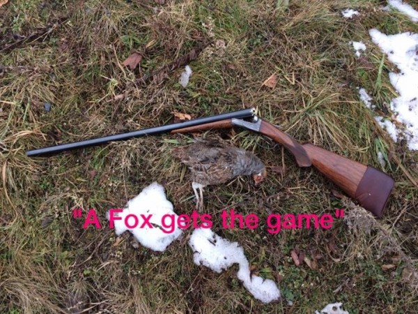image.jpeg