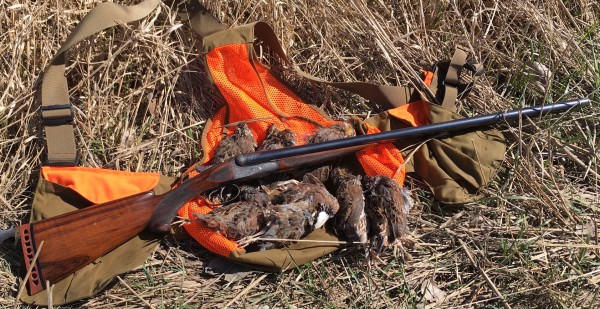 Fox still life.JPG
