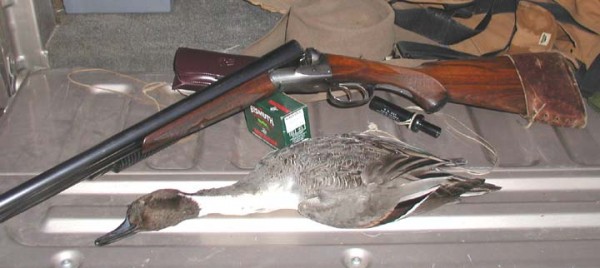 Super-Fox & Pintail Drake 2 10x4.jpg