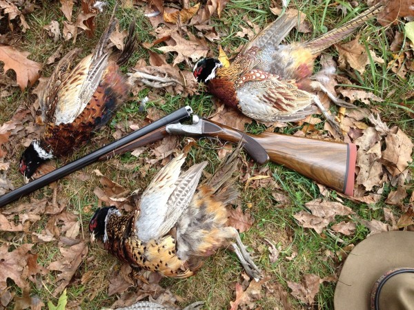 IMG_0638CEPheasants.jpg