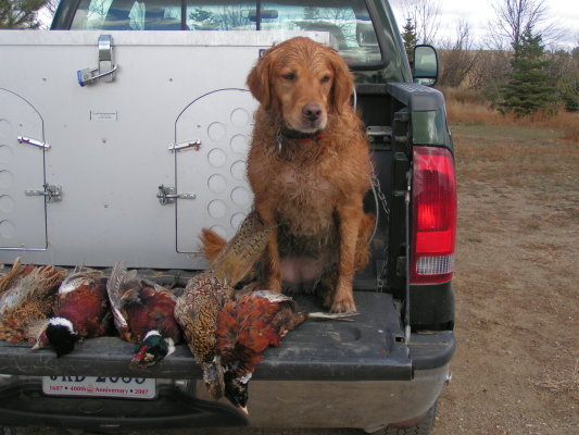 abby2004.jpg