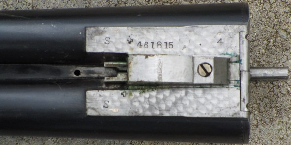 461815 09.JPG