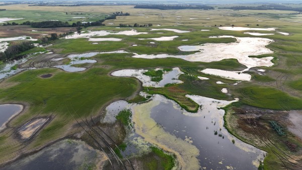 dji_fly_20260808_202516_0291_1786246559950_photo.jpeg