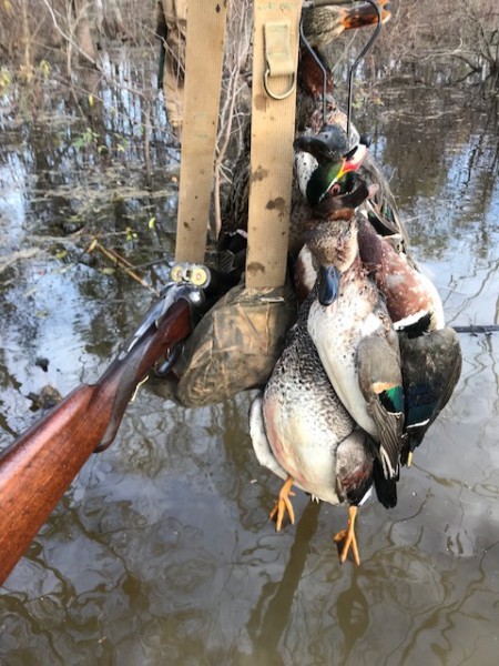 Early season mixed bag in the timber